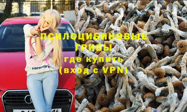 эйфоретик Алзамай